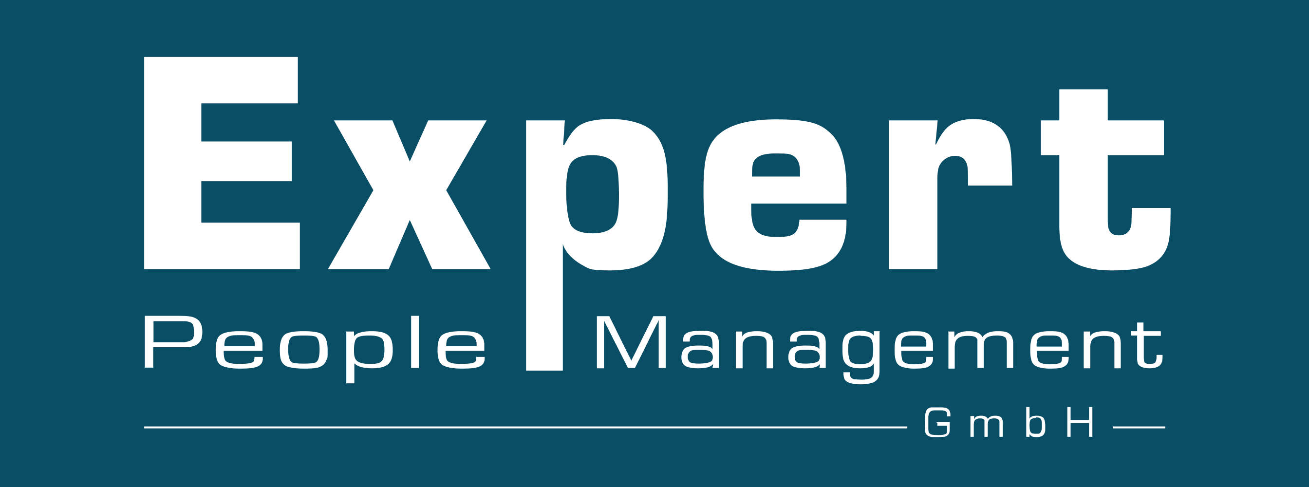 Expert Management Logo